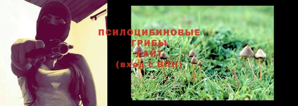 дмт Алзамай