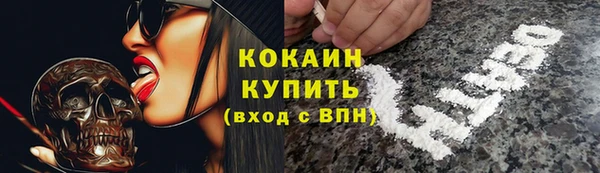 хмурый Алексин