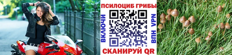 как найти закладки  Кирсанов  Псилоцибиновые грибы ЛСД 