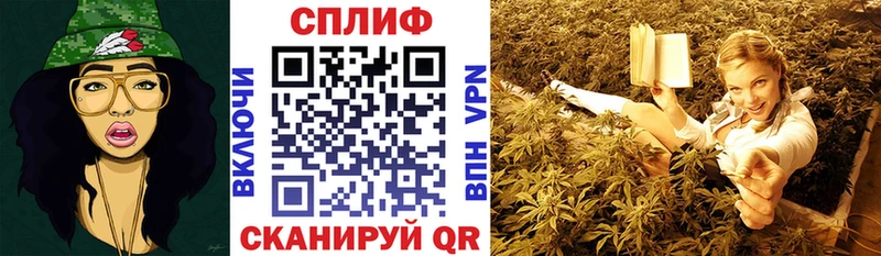 как найти   Кирсанов  Бошки Шишки марихуана 